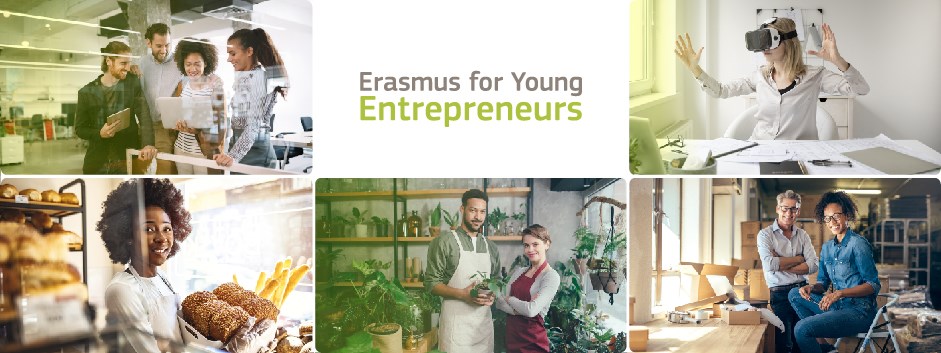 erasmus young entrepreneurs business plan